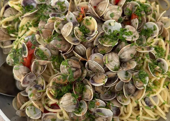 Mediterraneo & Cattolica