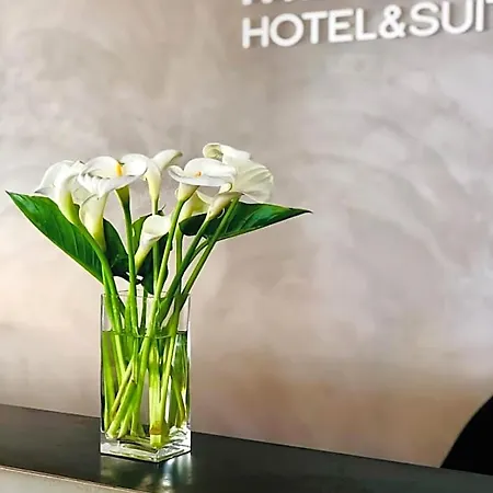 Hotel Mediterraneo Hotel&suites Cattolica