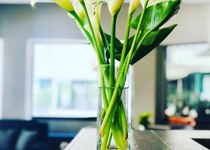 Mediterraneo & Cattolica