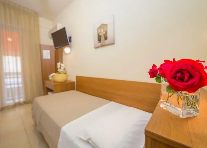 Hotel Mediterraneo & 3*